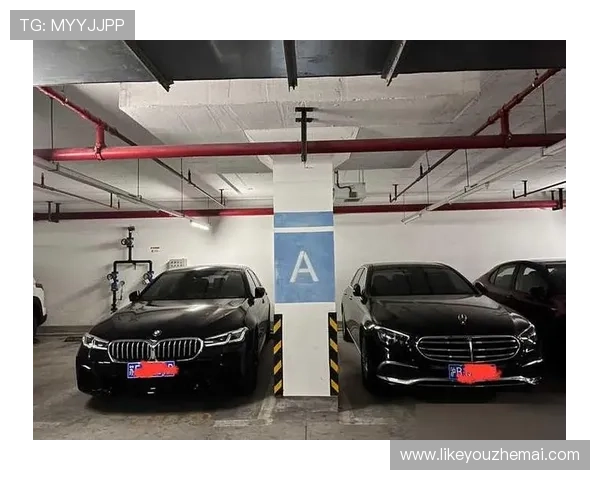 凯发奔驰宝马：如何选择适合自己的奔驰或宝马车型，提升驾驶体验