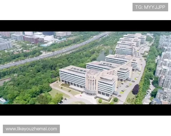 2024年最新的k8凯发官方网站入口访问攻略，确保用户在不同设备上都能顺利登录平台