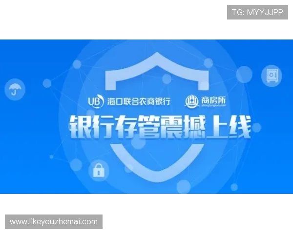 凯发旗舰厅会员登录安全保障措施，保障玩家个人信息与资金安全的全面方案