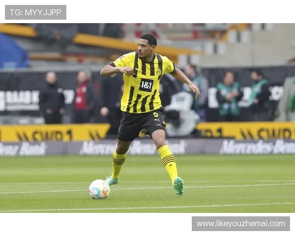 k8凯发官网游戏攻略与技巧分享提升玩家竞技水平与获胜几率