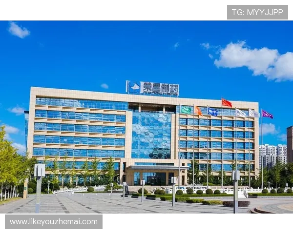 凯发体育集团网址官方入口更新公告，帮助用户第一时间掌握最新登录方式