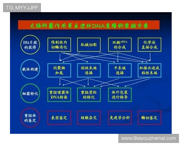 K8体育厅的安全保障措施与用户隐私保护策略全面解析确保您的使用无忧